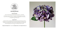 Load image into Gallery viewer, Floral Photographic: Gift Card &amp; Envelope Set (Large) - NEW
