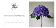Load image into Gallery viewer, Floral Photographic: Gift Card &amp; Envelope Set (Large) - NEW
