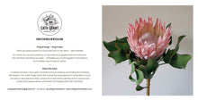 Load image into Gallery viewer, Floral Photographic: Gift Card &amp; Envelope Set (Large) - NEW
