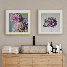 Load image into Gallery viewer, Floral Photographic Print - Antique Hydrangea
