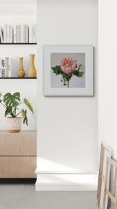 Floral Photographic Print - King of Kings Protea