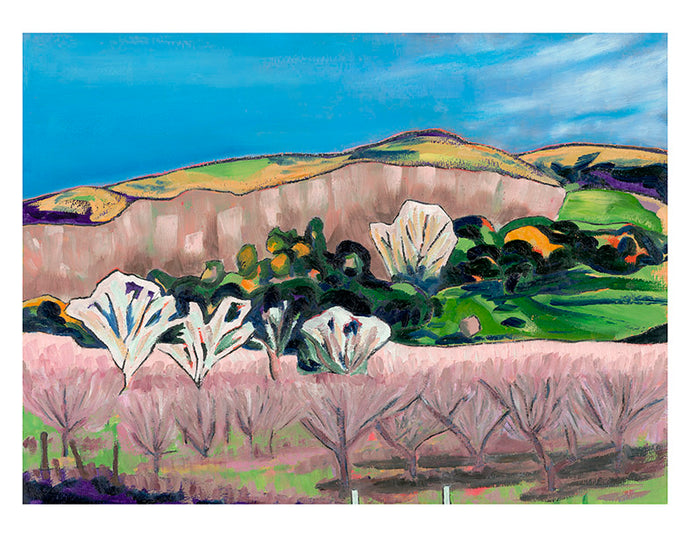 Limited Edition Prints - Cooptown Cherries