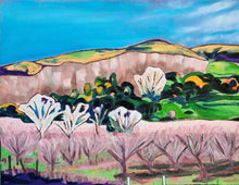 Load image into Gallery viewer, Banks Peninsula Landscapes: Gift Card &amp; Envelope Set (Large)
